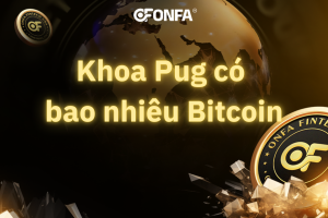 khoa-pug-co-bao-nhieu-bitcoin