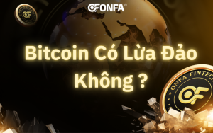 bitcoin-co-lua-dao-khong