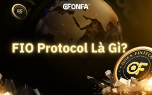 fio-protocol-la-gi