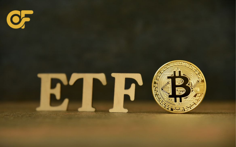 Các quỹ Bitcoin ETF uy tín hiện nay được nhiều tổ chức và nhà đầu tư lựa chọn