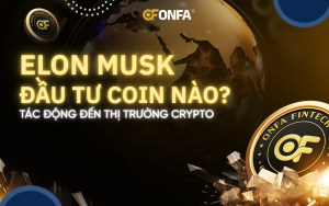 Elon-Musk-dau-tu-coin-nao
