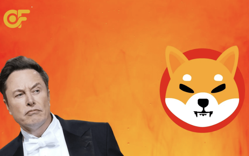 Elon Musk đầu tư Shiba Inu Sự thật và những hiểu lầm xoay quanh SHIB