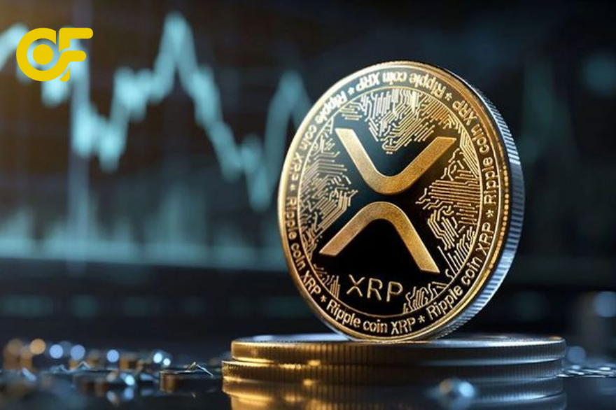 Hướng dẫn cách đầu tư vào Xcrypto.biz, nạp vốn – mua gói – nhận lãi và chu kỳ thanh toán