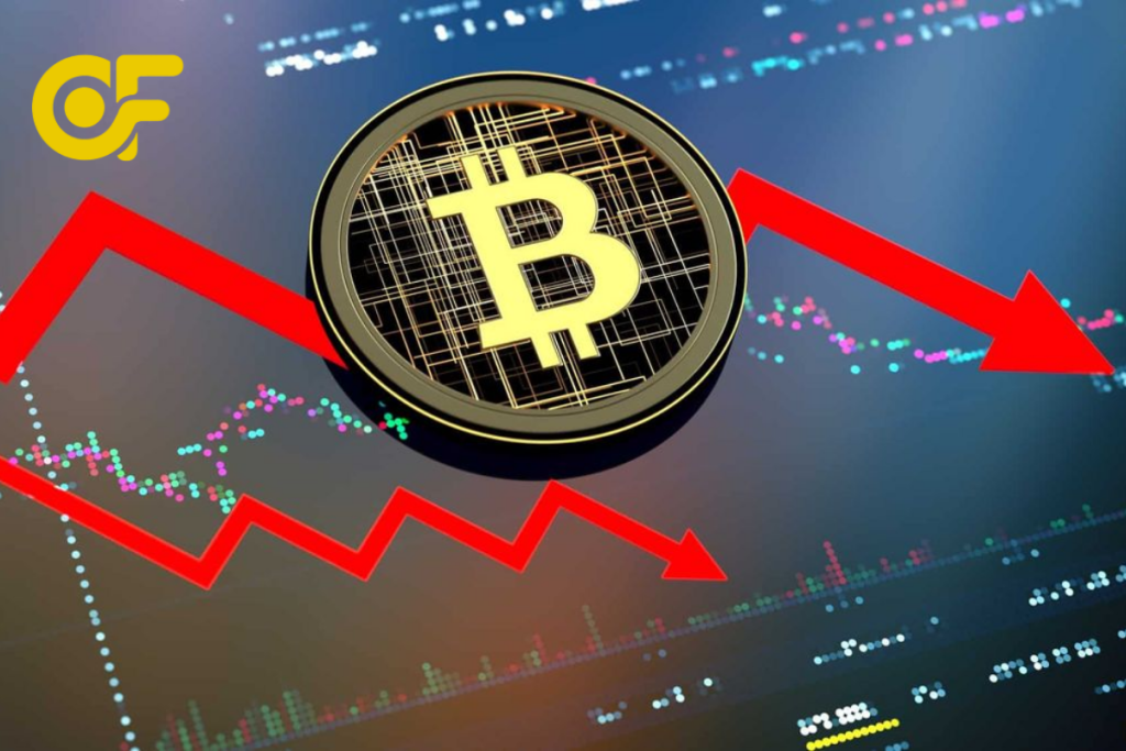 Trình bày biểu đồ giá Bitcoin, số liệu tăng trưởng, vốn hóa và chu kỳ thị trường qua từng năm