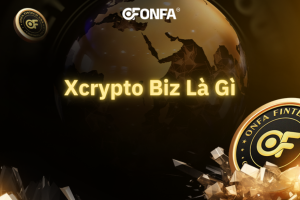 xcrypto-biz-la-gi