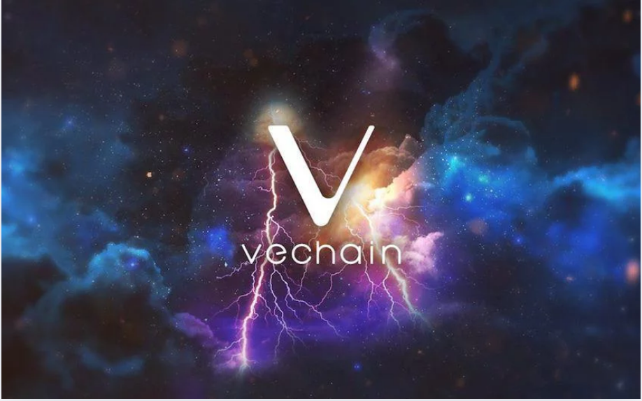 vechain-vet-la-gi