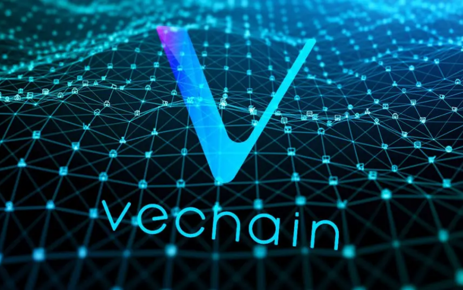 cau-truc-hoat-dong-cua-vechainthor-blockchain