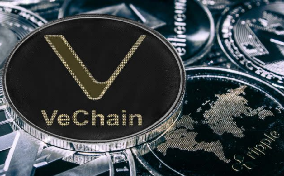 cach-kiem-va-so-huu-dong-vet