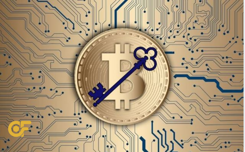 apy-la-gi-trong-the-gioi-crypto