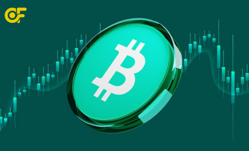 Bitcoin Cash Là Gì? Toàn Tập Về đồng BCH – Từ Hard Fork Đến Tiềm Năng Đầu Tư 2026 1 bitcoin-cash-bch-la-gi