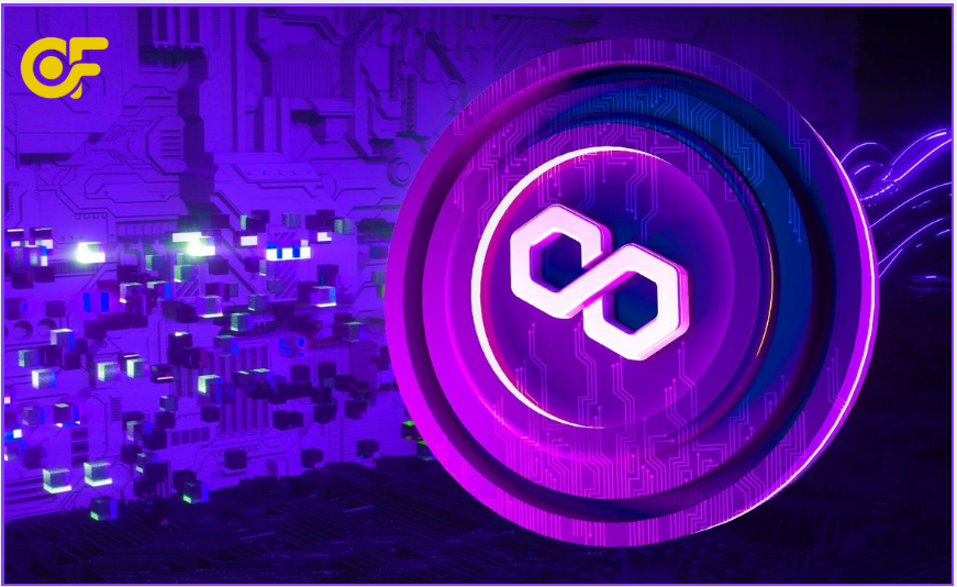 gioi-thieu-ve-polygon-matic