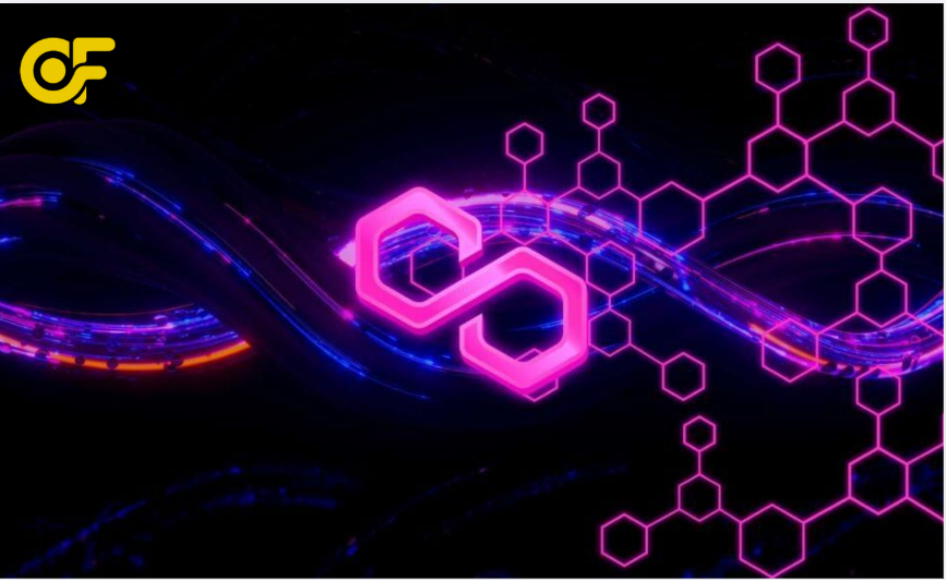 he-sinh-thai-polygon