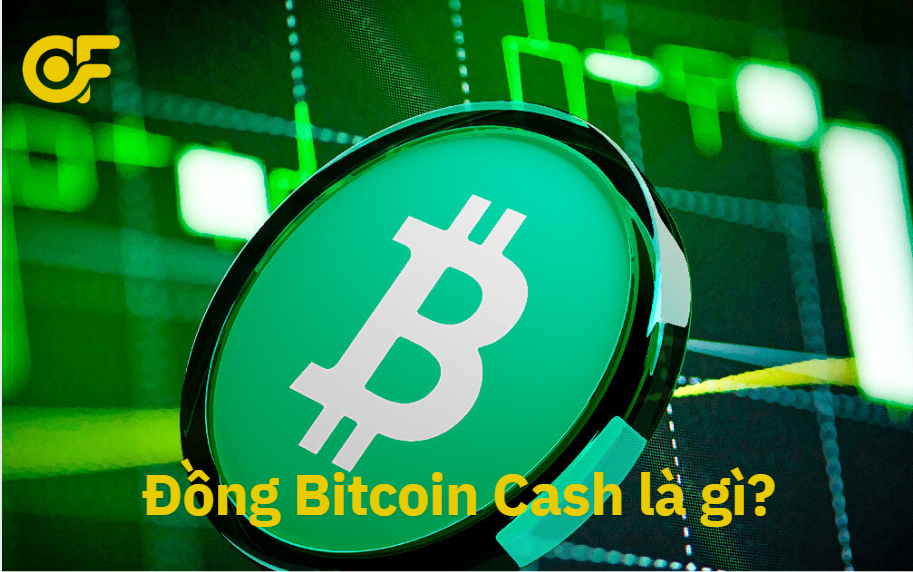 dong-bitcoin-cash-la-gi-vi-sao-ra-doi
