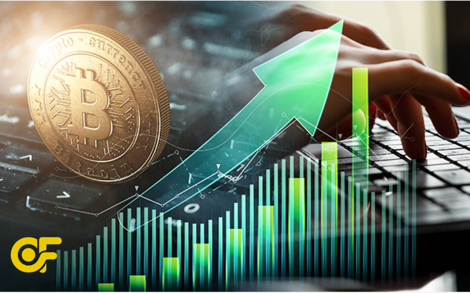 nghien-cuu-truong-hop-bai-hoc-tu-nhung-nha-dau-tu-crypto-thanh-cong