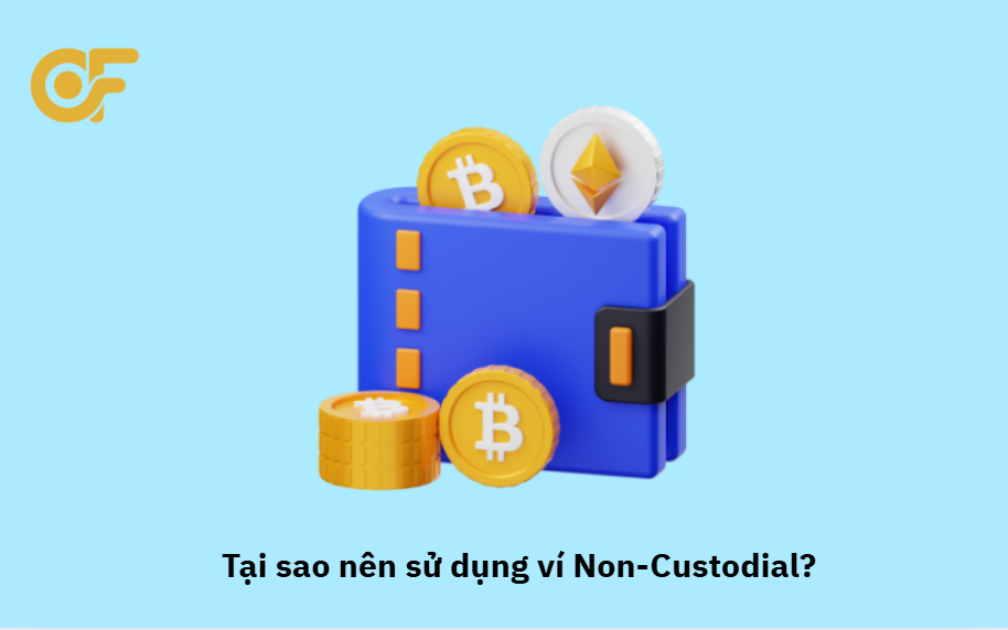tai-sao-nen-su-dung-vi-noncustodial