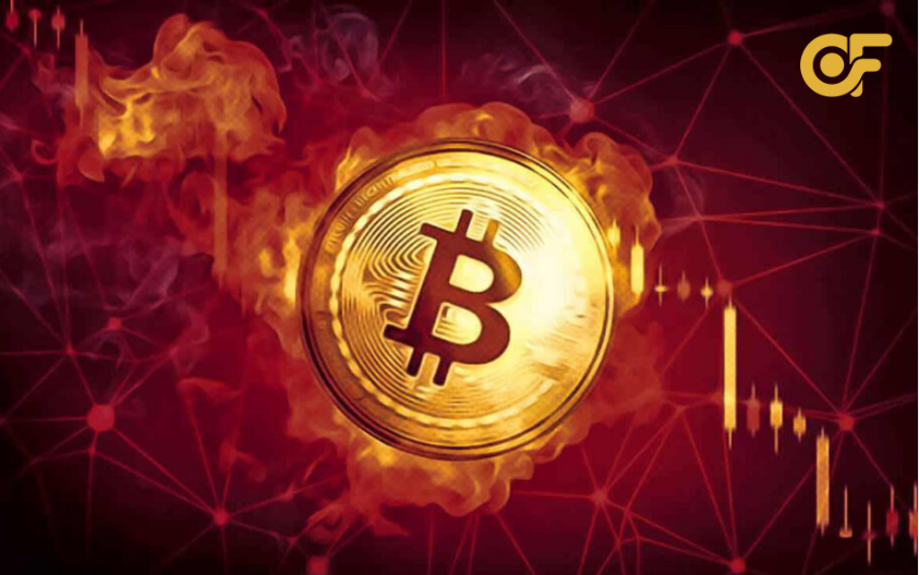 loi-nhuan-va-rui-ro-khi-dau-tu-coin-gia-re