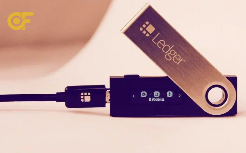 ai-nen-su-dung-vi-lanh-ledger