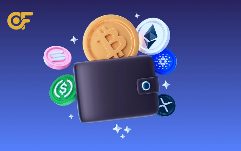 cac-loai-vi-crypto-pho-bien-hien-nay