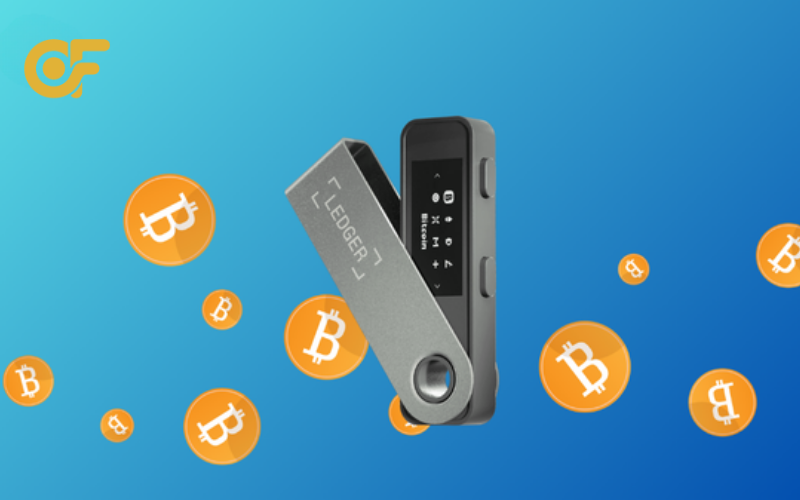 cac-loai-vi-lanh-ledger-pho-bien