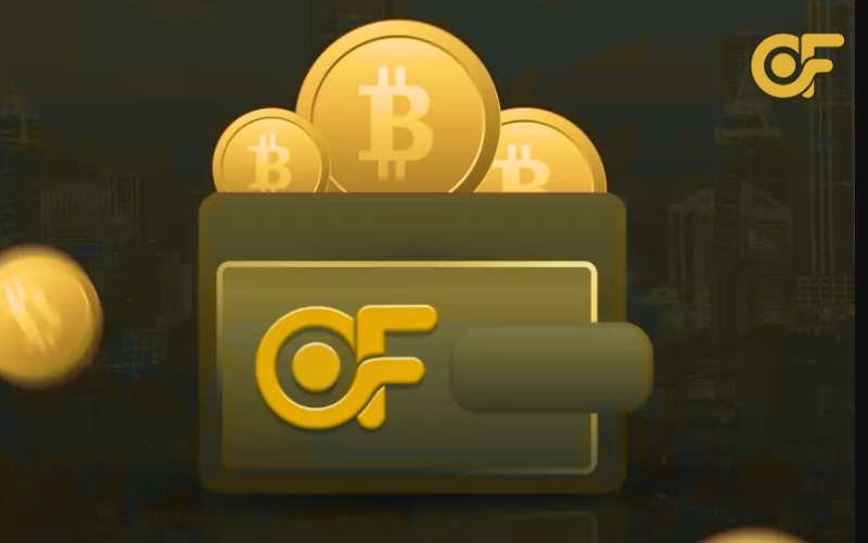 cach-tao-vi-tien-ao-huong-dan-chi-tiet-tung-loai-vi-onfa-wallet