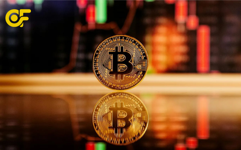 Giai-dap-thac-mac-ve-von-khoi-diem-va-cach-phan-bo-tai-san-trong-cach-dau-tu-trade-coin-de-han-che-rui-ro-cho-nguoi-moi