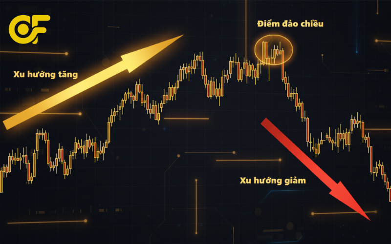 Giai-thich-cong-thuc-trade-coin-la-gi-va-ly-do-trader-phai-nam-vung-de-giao-dich-co-chien-luoc-va-han-che-rui-ro