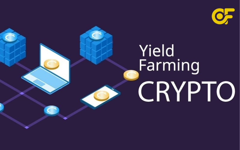 tai-sao-yield-farming-bung-no-defi-boom