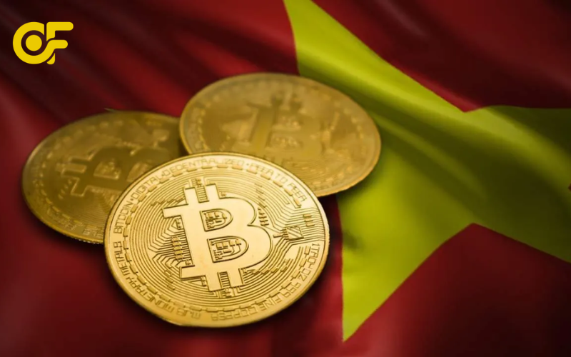 Tinh-hinh-phap-ly-va-quy-dinh-tien-dien-tu-o-Viet-Nam-Nhung-cap-nhat-quan-trong-lien-quan-den-cac-loai-tien-dien-tu-o-Viet-Nam-ma-nha-dau-tu-can-theo-doi