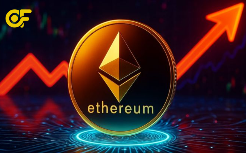 Top-vi-tru-ETH-tot-nhat-2026-theo-tung-nhu-cau-giao-dich-luu-tru-dai-han-DeFi-NFT-va-quan-ly-da-tai-san-crypto