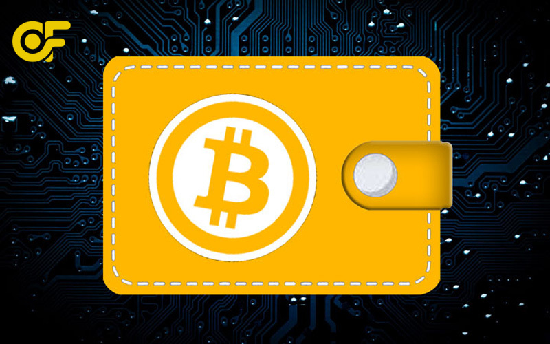 vi-nong-gi-giai-thich-cach-hoat-dong-dung-de-dang-phan-biet-vi-nong-vi-lanh-luu-tru-crypto